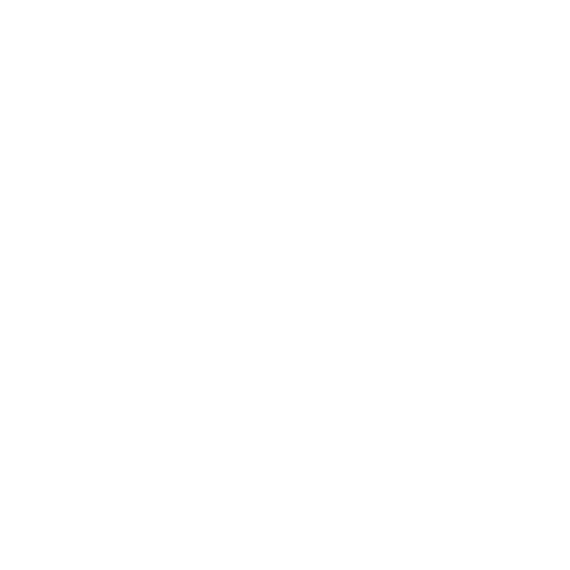 Witta for Congress seal
